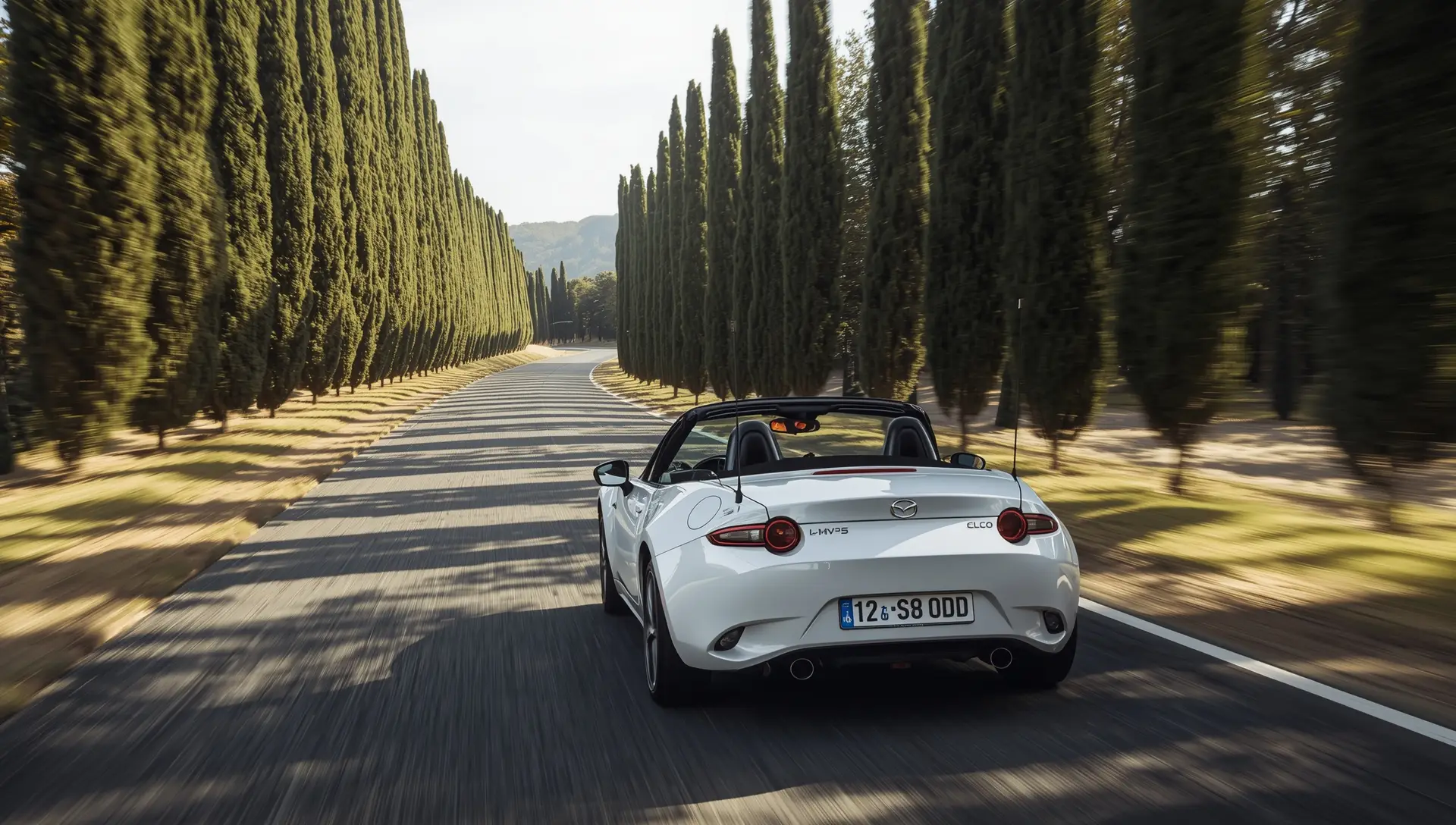 Cabrio per itinerari costieri vicino Pisa